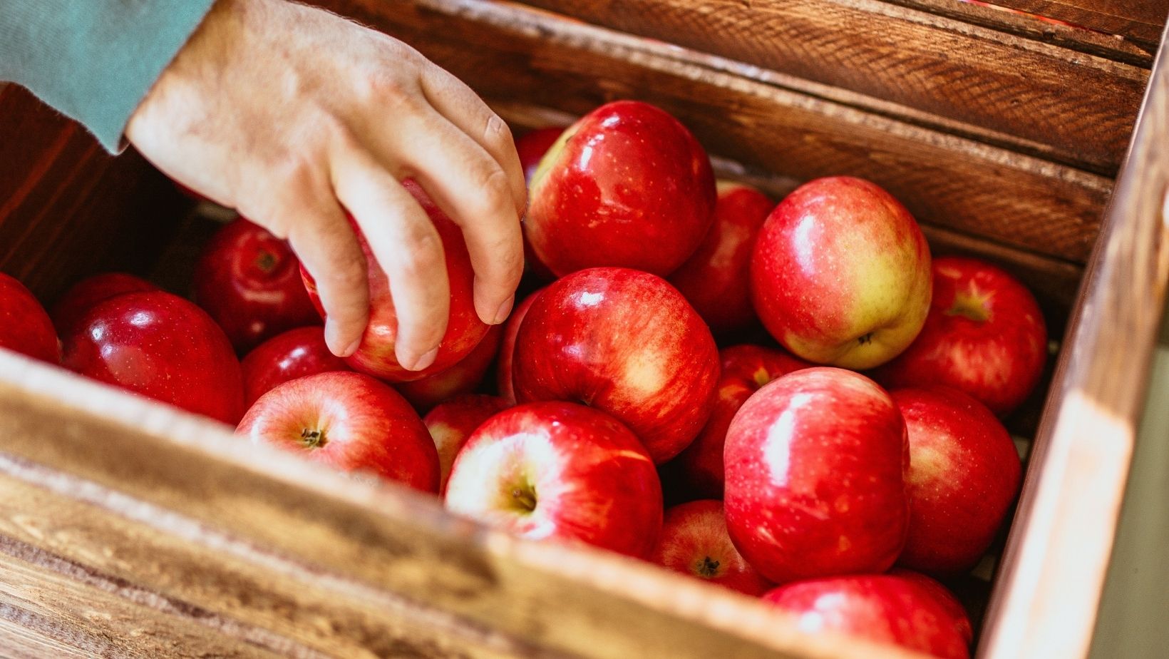Scopri di più sull'articolo Alimentazione: 3 frutti autunnali immancabili